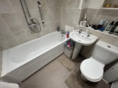 Picture 11